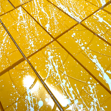 Lemon Fizz Bar